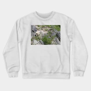 850_1979 Crewneck Sweatshirt